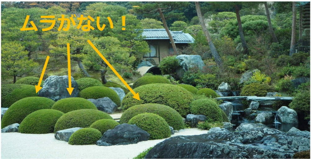 ムラの無い庭
