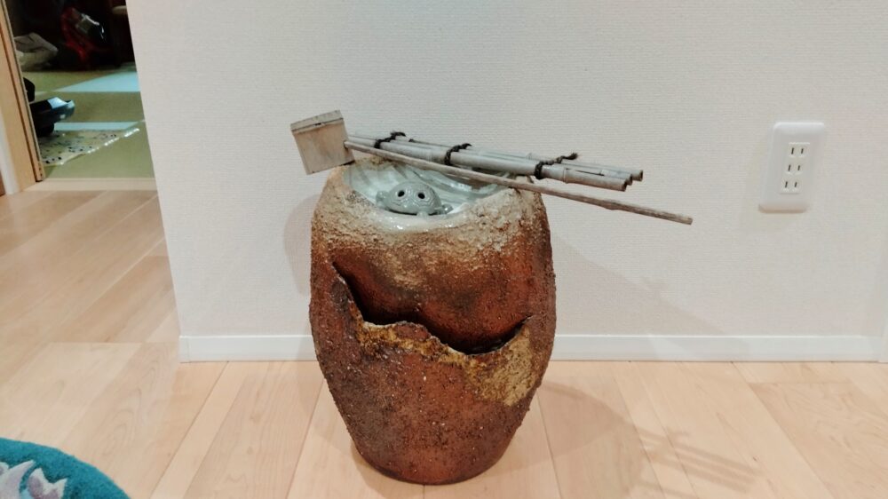カメ カメ